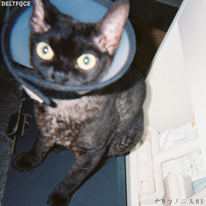 日韩女忧精品费A片
